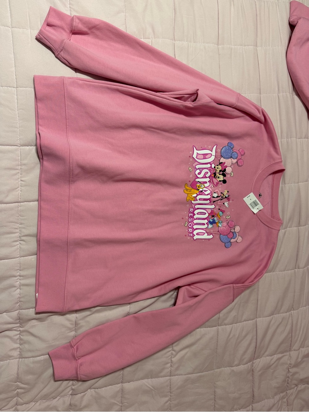 Disney parks Disneyland Resort Minnie & Friends Sweatshirt MEDIUM